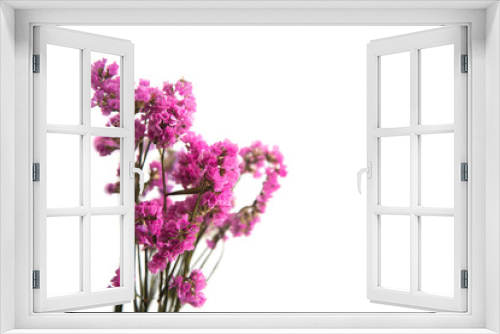 Fototapeta Naklejka Na Ścianę Okno 3D - Fuchsia dry flower