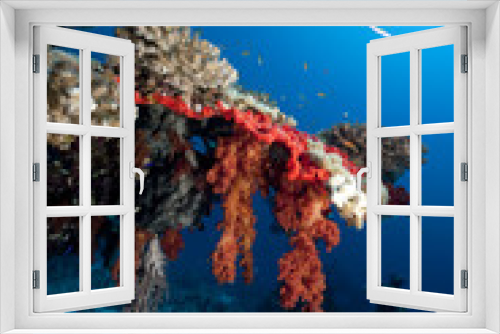 Fototapeta Naklejka Na Ścianę Okno 3D - fish, ocean and coral