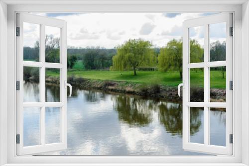 Fototapeta Naklejka Na Ścianę Okno 3D - Zwei Weiden am Flussufer mit zarten, hellgrünen Blättern am Frühlingsanfang