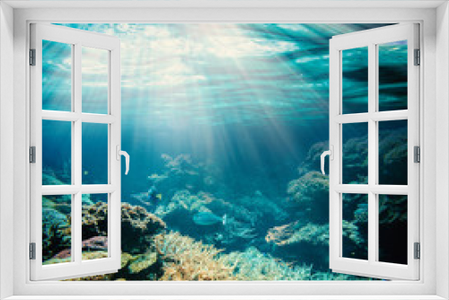 Fototapeta Naklejka Na Ścianę Okno 3D -  underwater