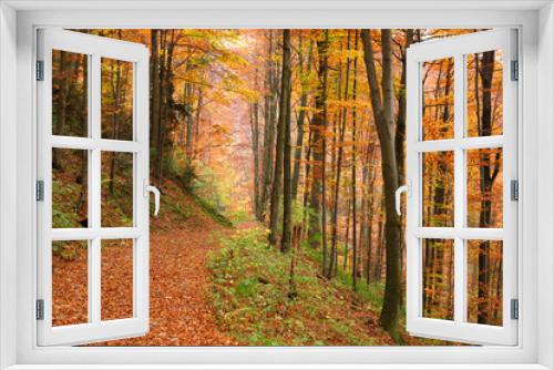 Fototapeta Naklejka Na Ścianę Okno 3D - The road in the autumn beech forest.