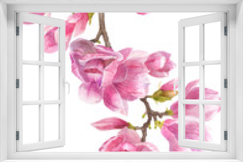Fototapeta Naklejka Na Ścianę Okno 3D - 3793075 Flowering branch of a magnolia