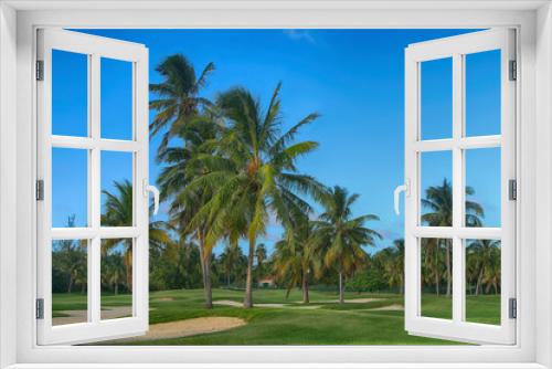 Fototapeta Naklejka Na Ścianę Okno 3D - Tropical palm trees in summer against a background of green lawn and blue clear sky