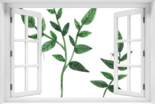 Fototapeta Naklejka Na Ścianę Okno 3D - Two fresh green branches isolated on white. Watercolor elements