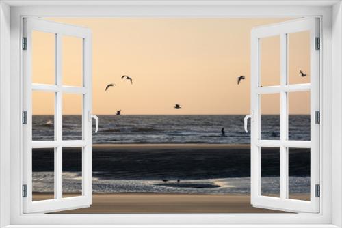 Fototapeta Naklejka Na Ścianę Okno 3D - Möwen am Strand im Abendlicht