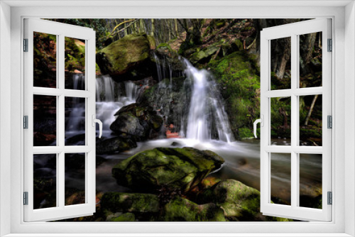 Fototapeta Naklejka Na Ścianę Okno 3D - Wasserfall Wald Moos