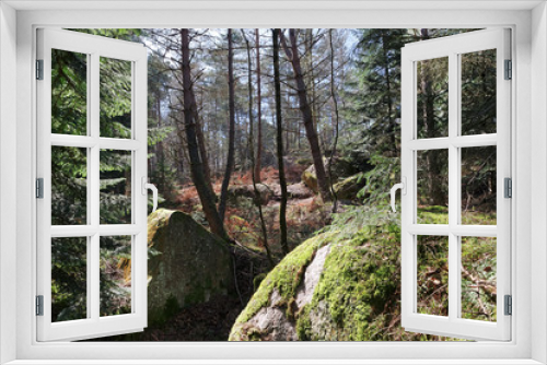 Fototapeta Naklejka Na Ścianę Okno 3D - Rocher des Princes rock in Fontainebleau forest