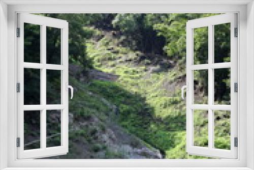 Fototapeta Naklejka Na Ścianę Okno 3D - 自然の力