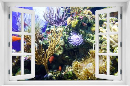 Fototapeta Naklejka Na Ścianę Okno 3D - Underwater coral reef in deep water