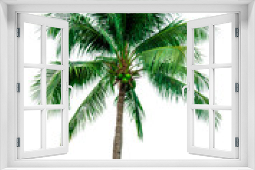 Fototapeta Naklejka Na Ścianę Okno 3D - Coconut tree isolated on white background with copy space. Used for advertising decorative architecture. Summer and beach concept. Tropical palm tree.