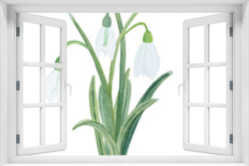 Fototapeta Naklejka Na Ścianę Okno 3D - Watercolor white galanthus (snowdrops) bouquet