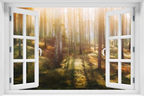 Fototapeta Naklejka Na Ścianę Okno 3D - magic sunny forest