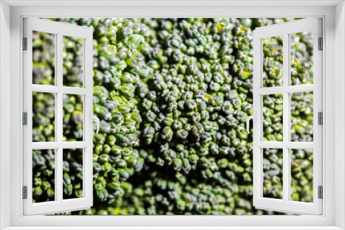 Fototapeta Naklejka Na Ścianę Okno 3D - broccoli close up