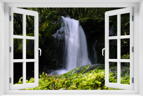 Fototapeta Naklejka Na Ścianę Okno 3D - Cascading waterfall in Franz Joseph national park
