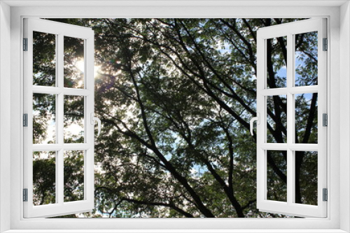Fototapeta Naklejka Na Ścianę Okno 3D - Shining Tree Beacon