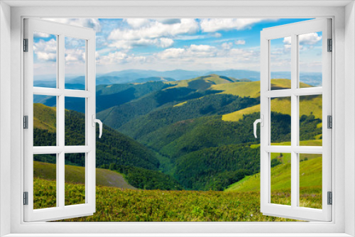 Fototapeta Naklejka Na Ścianę Okno 3D - rolling hill of Carpathian mountains. beautiful summer landscape