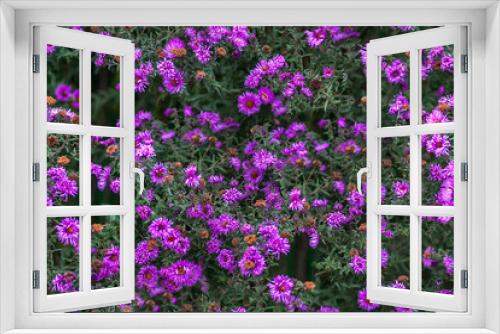 Fototapeta Naklejka Na Ścianę Okno 3D - seamless texture purple flowers background