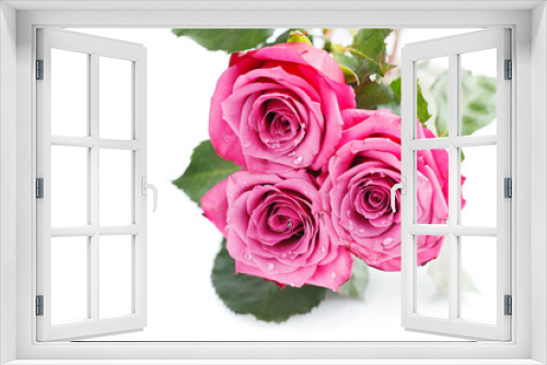 Fototapeta Naklejka Na Ścianę Okno 3D - pink roses isolated on white