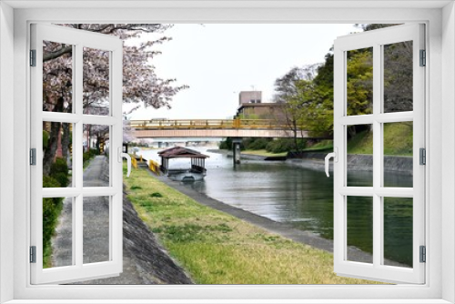 Fototapeta Naklejka Na Ścianę Okno 3D - 瀬田川沿いの桜