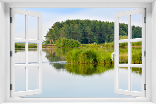 Fototapeta Naklejka Na Ścianę Okno 3D - Lake summer view with reflection of grass and trees on water surface (Ulyanovsk, Russia).