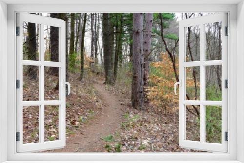 Fototapeta Naklejka Na Ścianę Okno 3D - A path through a pine forest in spring.