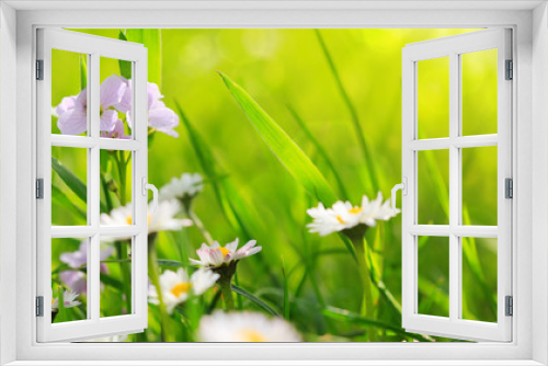 Fototapeta Naklejka Na Ścianę Okno 3D - Spring flowers background.