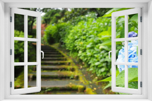 Fototapeta Naklejka Na Ścianę Okno 3D - 梅雨の階段