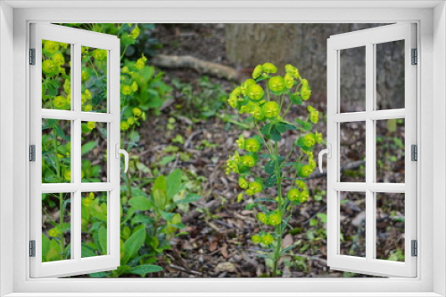 Fototapeta Naklejka Na Ścianę Okno 3D - Natur
