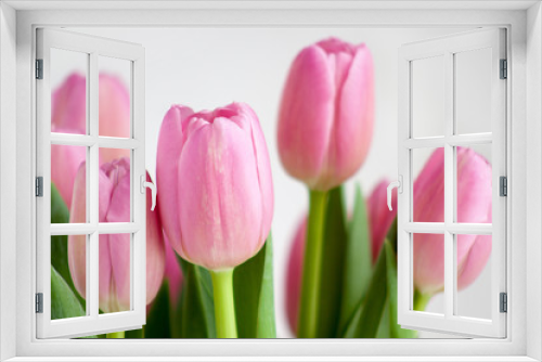 Fototapeta Naklejka Na Ścianę Okno 3D - Group of pink tulips isolated on white background.