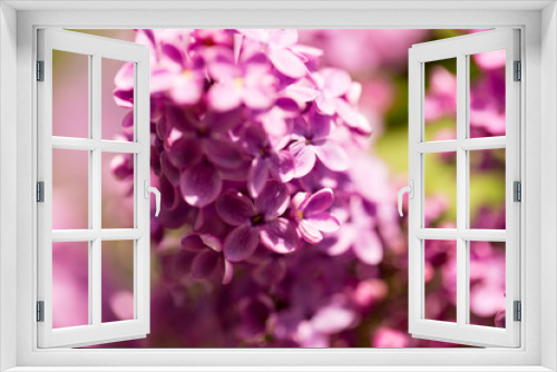 Fototapeta Naklejka Na Ścianę Okno 3D - Lilac flowers on a tree in spring