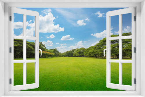 Fototapeta Naklejka Na Ścianę Okno 3D - Green grass green trees in beautiful park white Clouds and blue sky in noon.