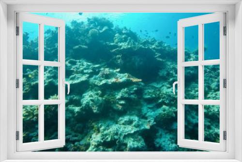 Fototapeta Naklejka Na Ścianę Okno 3D - Under the sea 