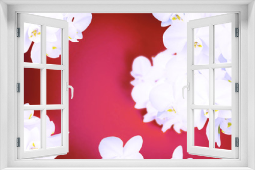 Fototapeta Naklejka Na Ścianę Okno 3D - surrealism White Orchid on red background.