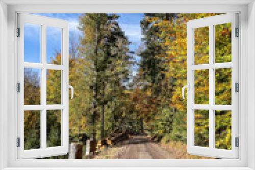 Fototapeta Naklejka Na Ścianę Okno 3D - Road into colorful autumn forest