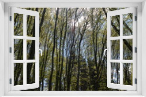 Fototapeta Naklejka Na Ścianę Okno 3D - Beautiful trees spring forest sunny day blue sky