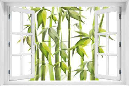 Fototapeta Naklejka Na Ścianę Okno 3D - green vector bamboo forest on white background