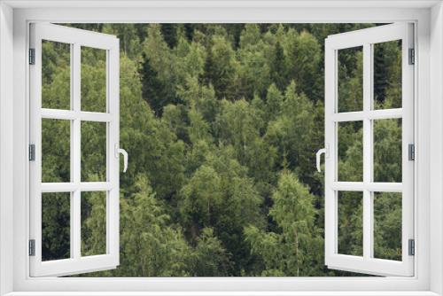 Fototapeta Naklejka Na Ścianę Okno 3D - Forest in Finlan, matte style.