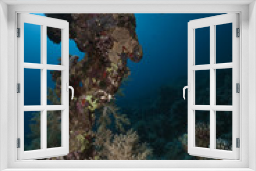 Fototapeta Naklejka Na Ścianę Okno 3D - ocean, coral and fish