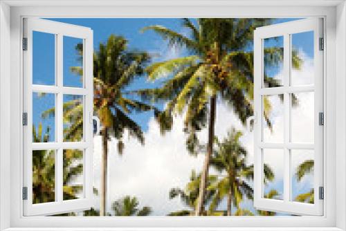 Fototapeta Naklejka Na Ścianę Okno 3D - Palms and sky
