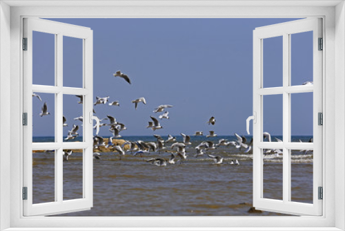 Fototapeta Naklejka Na Ścianę Okno 3D - The seagulls fly at sea