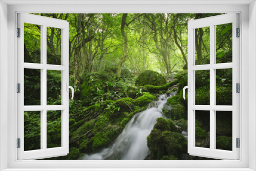 Fototapeta Naklejka Na Ścianę Okno 3D - forest river, green natural landscape