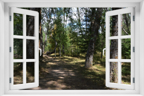 Fototapeta Naklejka Na Ścianę Okno 3D - Bosque Finlandes.
Un camino con árboles en el bosque finlandes en Rascafría provincia de Madrid. España