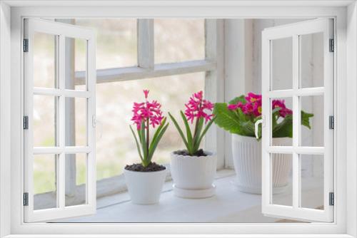 Fototapeta Naklejka Na Ścianę Okno 3D - spring flowers on windowsill