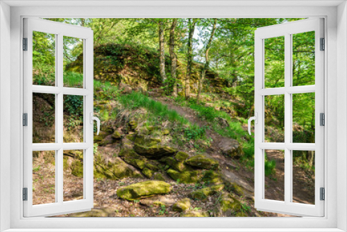 Fototapeta Naklejka Na Ścianę Okno 3D - The Palatinate Forest in spring. Germany