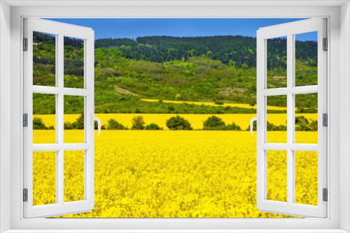 Fototapeta Naklejka Na Ścianę Okno 3D - Rapeseed fields - yellow fileds and blue sky. Agriculture concept.