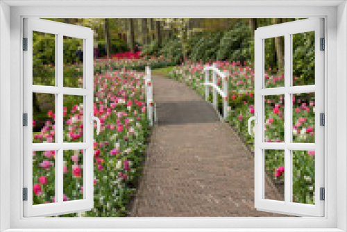 Fototapeta Naklejka Na Ścianę Okno 3D - romantic path in the park between blooming colorful tulips and