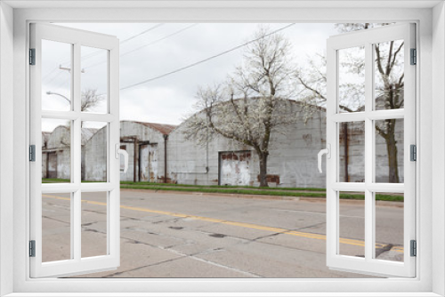 Fototapeta Naklejka Na Ścianę Okno 3D - A blooming white crabapple trees next to a row of old warehouses. The warehouses are rusted and abandoned, with round roofs. A street runs beside them with a double yellow line and road repair patches