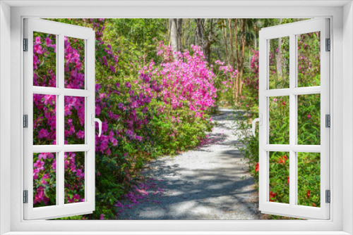Fototapeta Naklejka Na Ścianę Okno 3D - Beautiful Plantation Garden