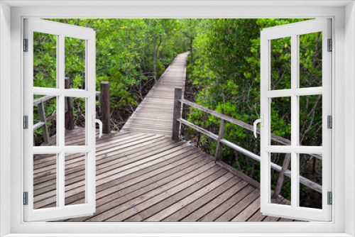 Fototapeta Naklejka Na Ścianę Okno 3D - Wood bridge in mangrove forest.