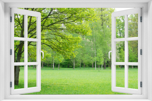 Fototapeta Naklejka Na Ścianę Okno 3D - Beautiful Spring Meadow
